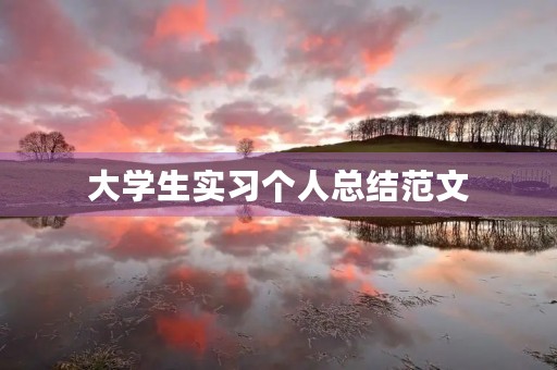 大学生实习个人总结范文