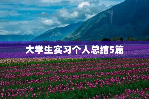 大学生实习个人总结5篇