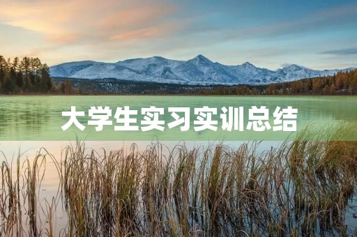大学生实习实训总结（7篇）