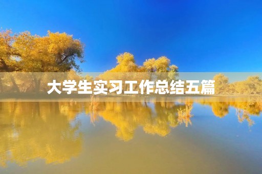 大学生实习工作总结五篇