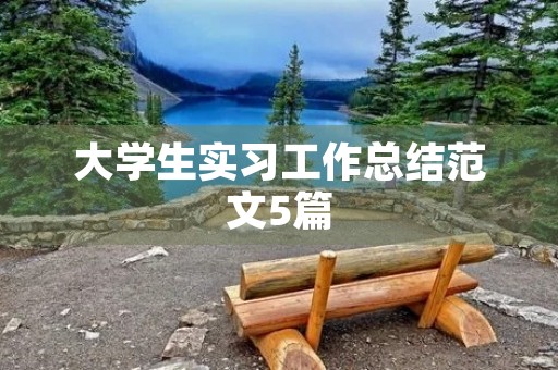 大学生实习工作总结范文5篇