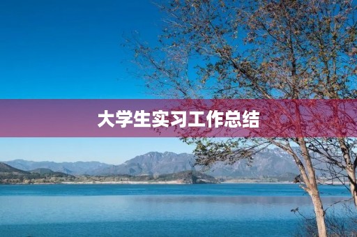 大学生实习工作总结(5篇) 大学生实习工作总结(5篇)