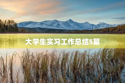 大学生实习工作总结5篇