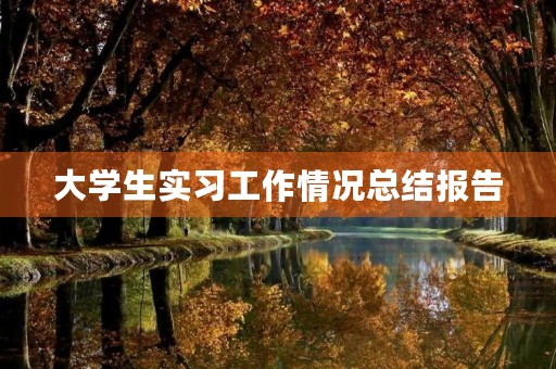 大学生实习工作情况总结报告
