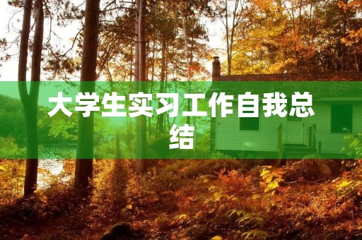 大学生实习工作自我总结 大学生实习工作自我总结