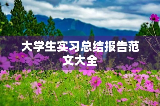 大学生实习总结报告范文大全