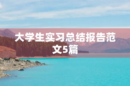大学生实习总结报告范文5篇