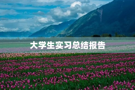 大学生实习总结报告