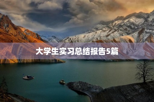 大学生实习总结报告5篇