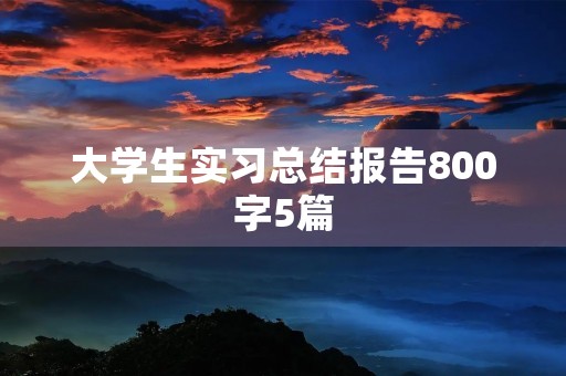 大学生实习总结报告800字5篇 大学生实习总结报告800字5篇