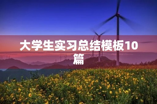 大学生实习总结模板10篇 大学生实习总结模板10篇
