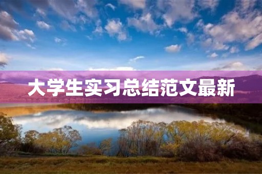 大学生实习总结范文最新