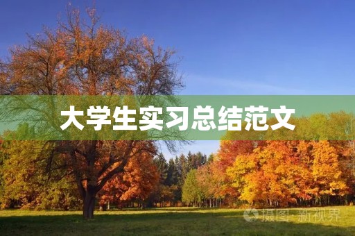 大学生实习总结范文