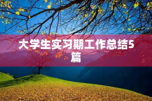 大学生实习期工作总结5篇