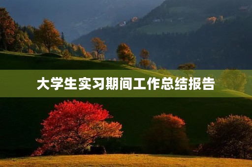 大学生实习期间工作总结报告