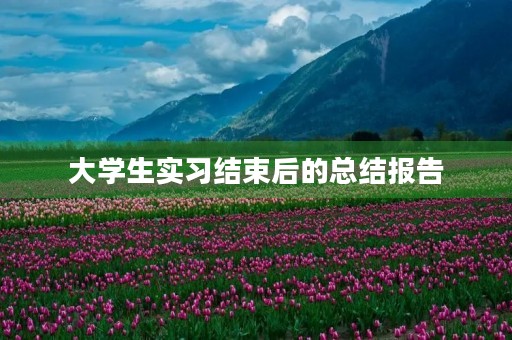 大学生实习结束后的总结报告 大学生实习结束后的总结报告