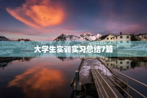 大学生实训实习总结7篇 大学生实训实习总结7篇