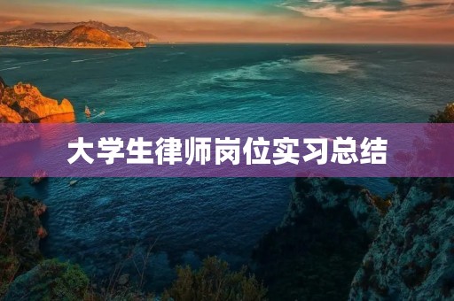 大学生律师岗位实习总结 大学生律师岗位实习总结