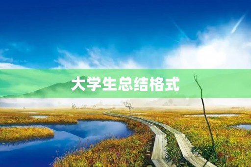 大学生总结格式