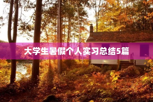 大学生暑假个人实习总结5篇
