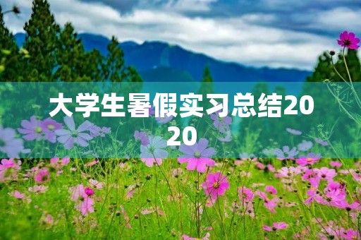 大学生暑假实习总结2020