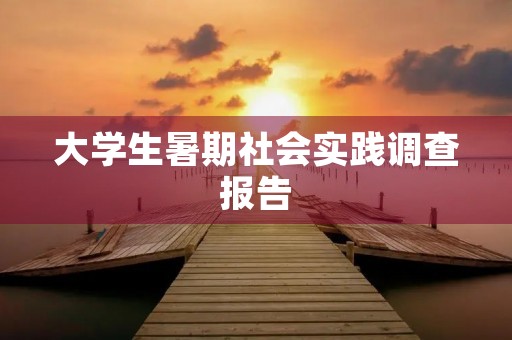 大学生暑期社会实践调查报告 大学生暑期社会实践调查报告