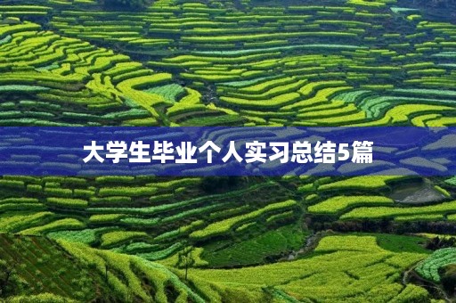大学生毕业个人实习总结5篇