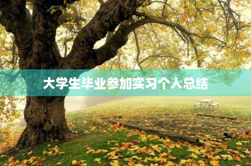 大学生毕业参加实习个人总结
