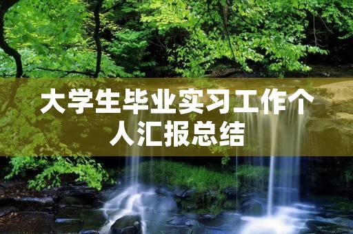 大学生毕业实习工作个人汇报总结