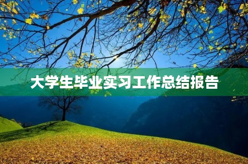 大学生毕业实习工作总结报告 大学生毕业实习工作总结报告