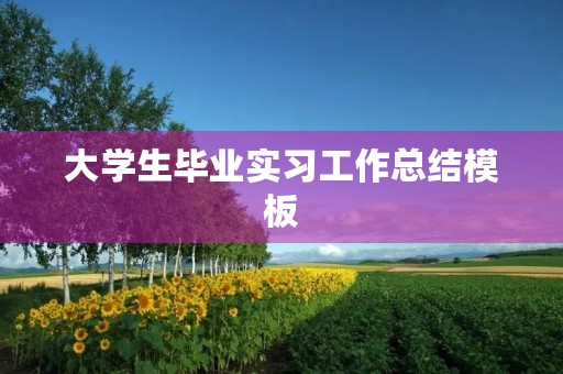 大学生毕业实习工作总结模板