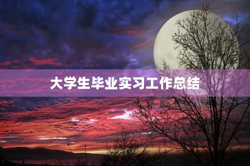 大学生毕业实习工作总结（10篇）