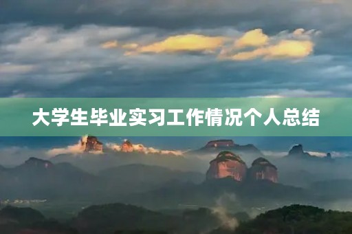 大学生毕业实习工作情况个人总结
