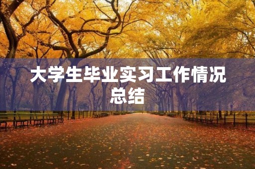 大学生毕业实习工作情况总结