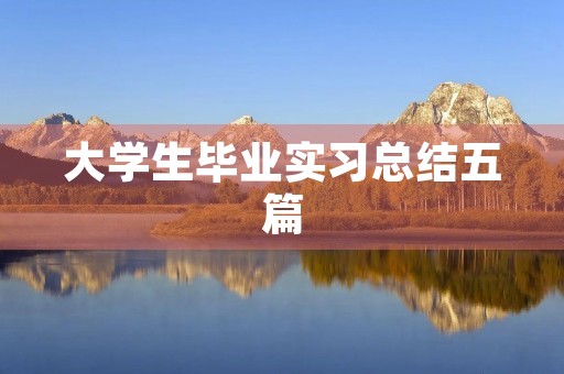 大学生毕业实习总结五篇