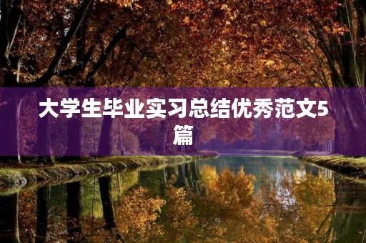 大学生毕业实习总结优秀范文5篇