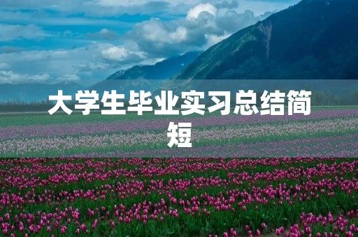 大学生毕业实习总结简短