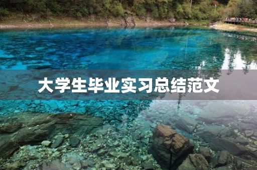 大学生毕业实习总结范文