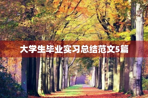 大学生毕业实习总结范文5篇