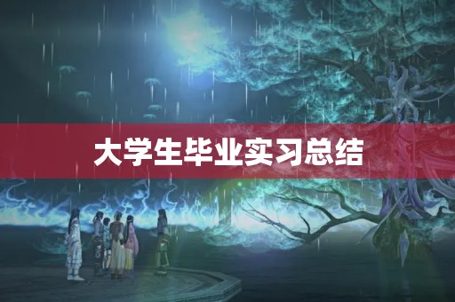 大学生毕业实习总结