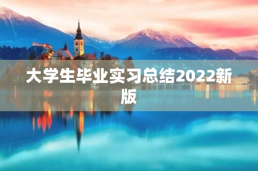 大学生毕业实习总结2022新版（五篇）
