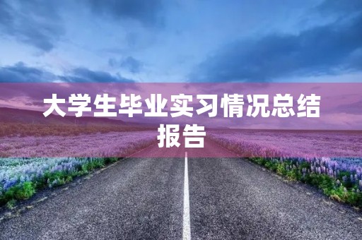 大学生毕业实习情况总结报告