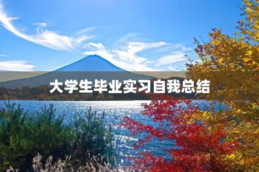 大学生毕业实习自我总结
