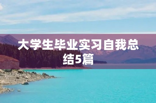 大学生毕业实习自我总结5篇
