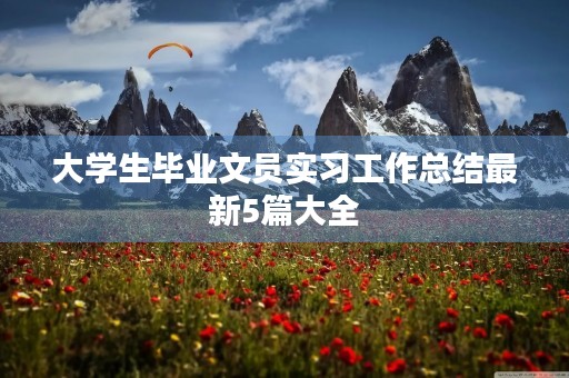 大学生毕业文员实习工作总结最新5篇大全