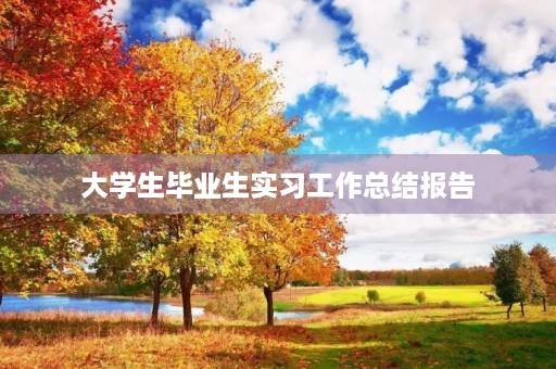 大学生毕业生实习工作总结报告