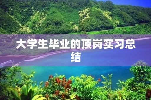 大学生毕业的顶岗实习总结 大学生毕业的顶岗实习总结