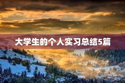 大学生的个人实习总结5篇 大学生的个人实习总结5篇