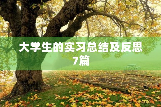 大学生的实习总结及反思7篇 大学生的实习总结及反思7篇