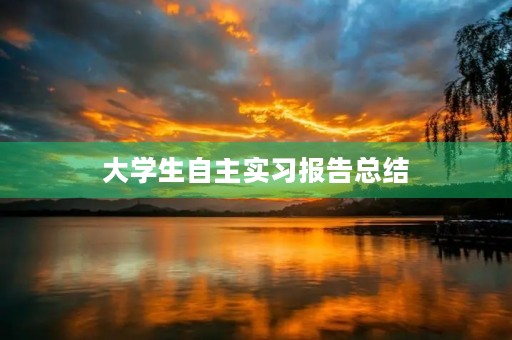 大学生自主实习报告总结